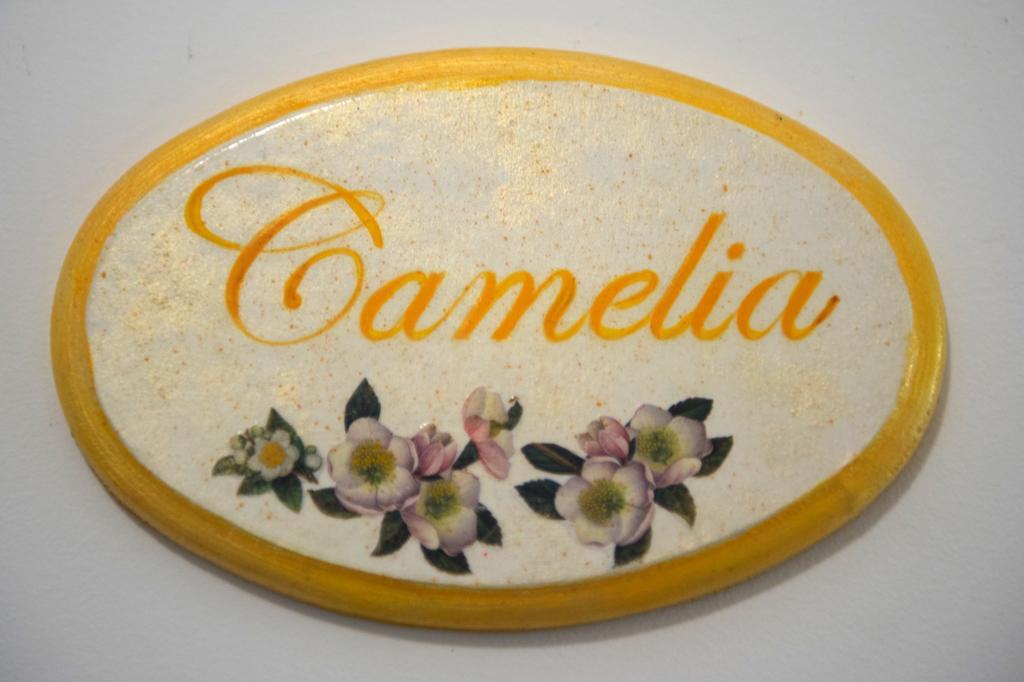 B&B Corte Dell' Immacolata Taviano Kültér fotó